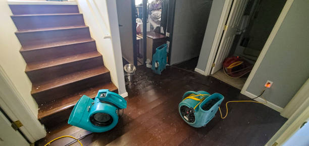 Best Water damage restoration company  in Pirtleville, AZ