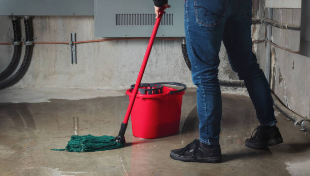 Best Fire Damage Restoration  in Pirtleville, AZ