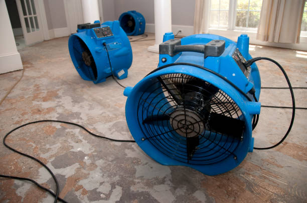 Best Residential water damage restoration  in Pirtleville, AZ