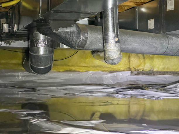 Best Water damage restoration mold remediation  in Pirtleville, AZ