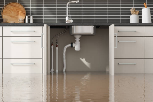 Best Water damage contractors near me  in Pirtleville, AZ