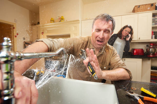 Best Professional water damage repair  in Pirtleville, AZ